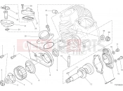DUCATI 2021 Scrambler ICON HORIZONTAL HEAD – TIMING SYSTEM