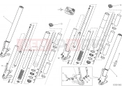DUCATI Diavel 1260 FRONT FORK [MOD:DVL1260]