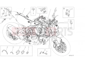 DUCATI 2021 Monster 821 WIRING HARNESS [MOD:M 821]