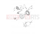 Triumph 2007 DAYTONA 600 & 650 Starter & Alternator