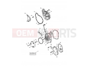 Triumph 2007 DAYTONA 600 & 650 Engine Covers - Daytona 600
