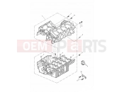 Crankcases - Triumph DAYTONA 600 & 650 2008