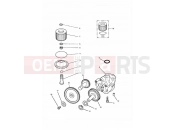 Triumph 1994 TRIDENT Lubrication System