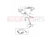 Triumph 1995 TRIDENT Ignition System