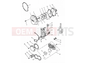 Triumph 1996 SPEED TRIPLE (CARBS) Engine Covers