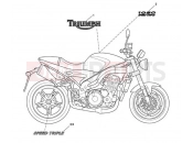 Bodywork Decals 333178 - Triumph SPEED TRIPLE 210445 > 461331 2007