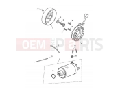 Triumph 2014 SPEED TRIPLE R > 735336 Starter & Alternator