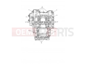 Triumph 2021 TRIDENT 660 Crankcase Bolts