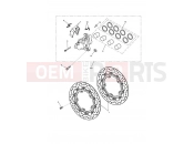 Triumph 2006 SPRINT ST 208167 > Front Brake Caliper & Discs