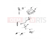 Triumph 2007 SPRINT ST 208167 > Engine Management System