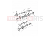 TRIUMPH ADVENTURER Transmission