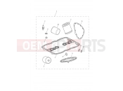 TRIUMPH THUNDERBIRD STORM Service Kits