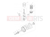 Crankshaft, Connecting Rods... - Triumph Tiger 800 > 674841 TIGER 800 2011