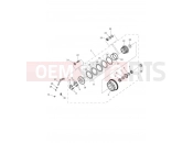 Triumph 2012 Tiger 800 > 674841 TIGER 800 Clutch