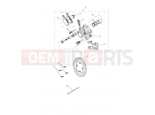Rear Brake & Disc - Triumph Tiger 800 > 674841 TIGER 800XC 2012