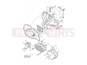 Triumph 2005 SPEEDMASTER CARBS Engine Covers
