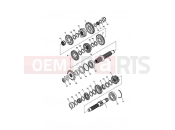 TRIUMPH SPEEDMASTER EFI Transmission