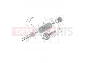 Triumph 2020 TIGER 900 Clutch