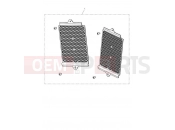 Triumph 2020 TIGER 900 GT Aluminium Radiator Guard, Silver