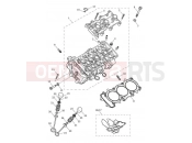 Triumph 2021 Tiger 900 Rally Pro Cylinder Head & Valves
