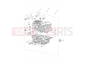 Triumph 2021 Tiger 900 Rally Pro Crankcase & Fittings