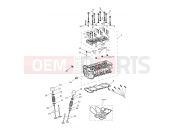 Triumph 2021 TIGER 1200 XR Cylinder Head & Valves