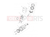 Triumph 2020 TIGER 1200 XRX Crankshaft, Connecting Rods...