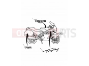 Triumph 1996 TROPHY 29156 > Bodywork - Decals