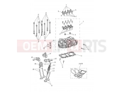 Triumph 2020 SPEED TWIN Cylinder Head & Valves