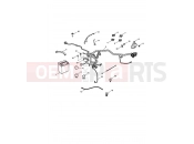 Triumph 2006 THRUXTON 900 CARBS Electrical Equipment