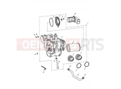 Triumph 2006 THRUXTON 900 CARBS Airbox