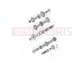 Triumph 2009 THRUXTON 900 EFI Transmission