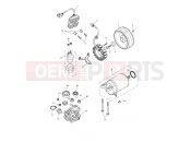 TRIUMPH THRUXTON 900 EFI Starter & Alternator