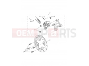 Triumph 2021 Street Triple RS > 966534 Rear Brake & Disc