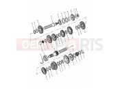 Triumph 2000 TIGER 885i 71699 > 124105 Transmission