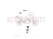 Decals - Triumph TIGER 955i 198875 > 2006