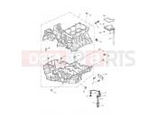 Crankcase Fixings - Triumph TIGER 955i 198875 > 2006