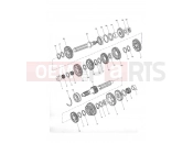 Transmission - Triumph TIGER 955i 198875 > 2006