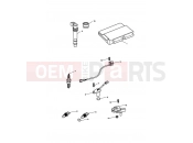 Triumph 2007 Tiger 1050 Engine Management System