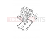 Triumph 2011 Tiger 1050 Cam Cover