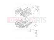 TRIUMPH Tiger 1050 Crankcase Fixings