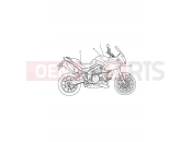 TRIUMPH Tiger 1050 Decals