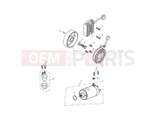 TRIUMPH Tiger 1050 Starter & Alternator