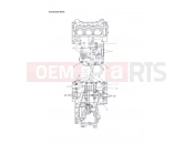 TRIUMPH Tiger 1050 Crankcase Bolts
