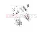 Front Brake Caliper & Discs - Triumph DAYTONA 955i 132513 > 2003