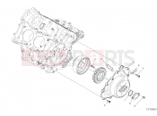 DUCATI 2022 Panigale V4 S GENERATOR COVER