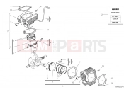 DUCATI 2023 Scrambler 1100 Tribute Pro CYLINDERS - PISTONS [XST:ROK]