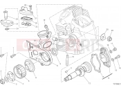DUCATI 2023 Scrambler 1100 Tribute Pro HORIZONTAL HEAD – TIMING SYSTEM