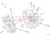 DUCATI 2020 Monster 821 Stealth HALF-CRANKCASES PAIR [MOD:M821STEA]
