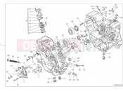 DUCATI 2021 Monster 821 Stealth HALF-CRANKCASES PAIR [MOD:M821STEA]